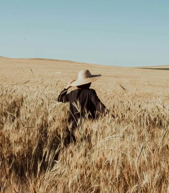 Femme qui marche dans un champ de blé, illustrant le parcours personnel d’une psychopraticienne